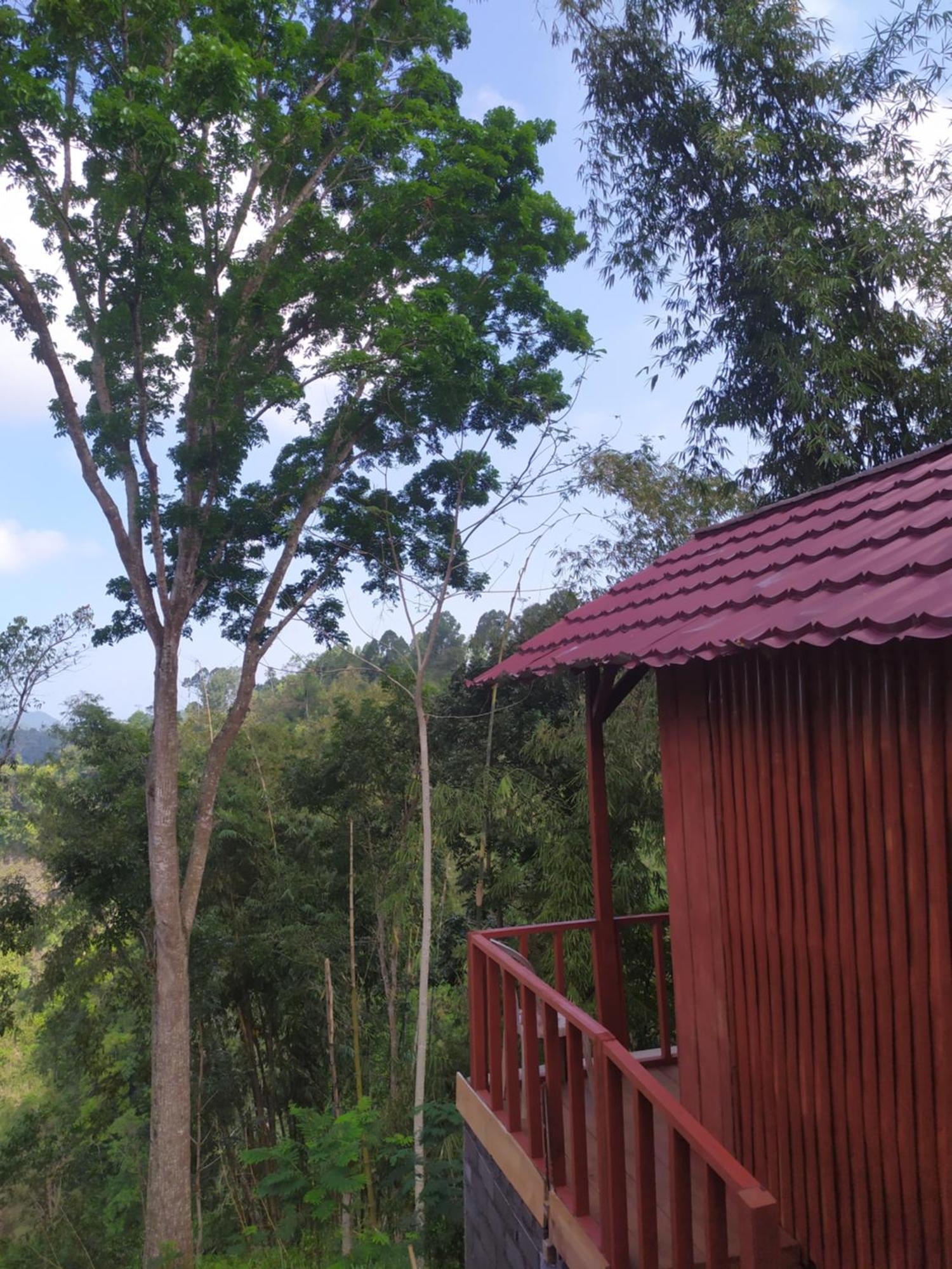 Happy Monkeys Village Sidomukti Esterno foto